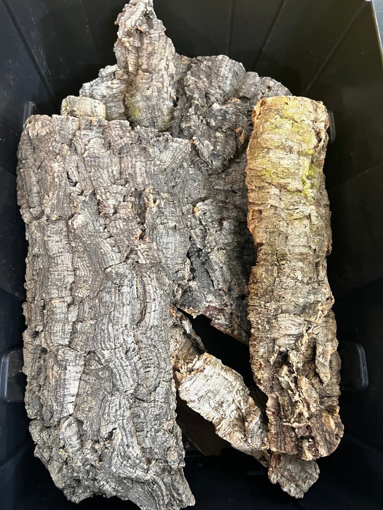 Cork Bark and Hardscapes for Terrariums