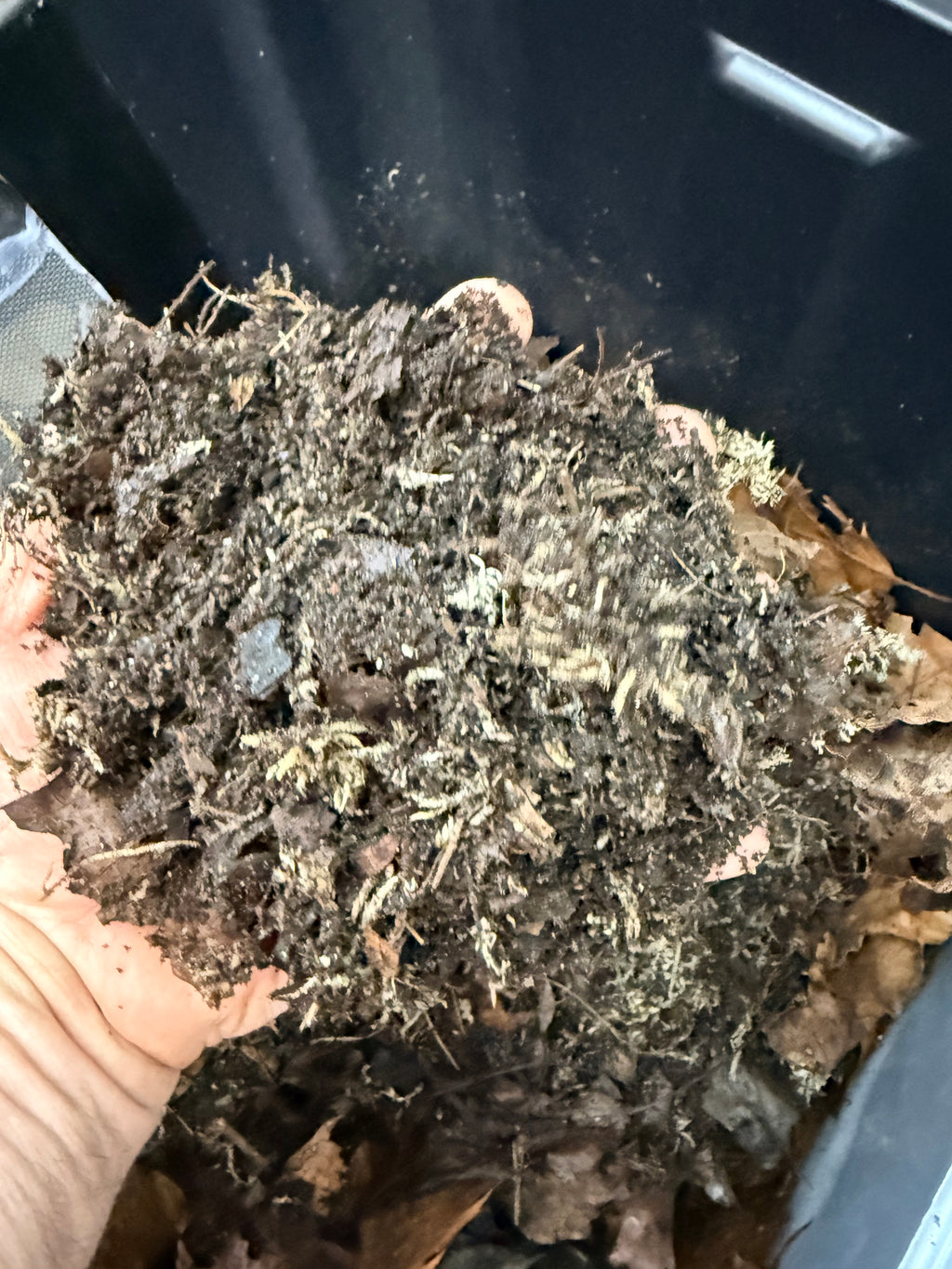 "The Best Soil on Earth" -Bioactive Ready Substrate 3 gallons