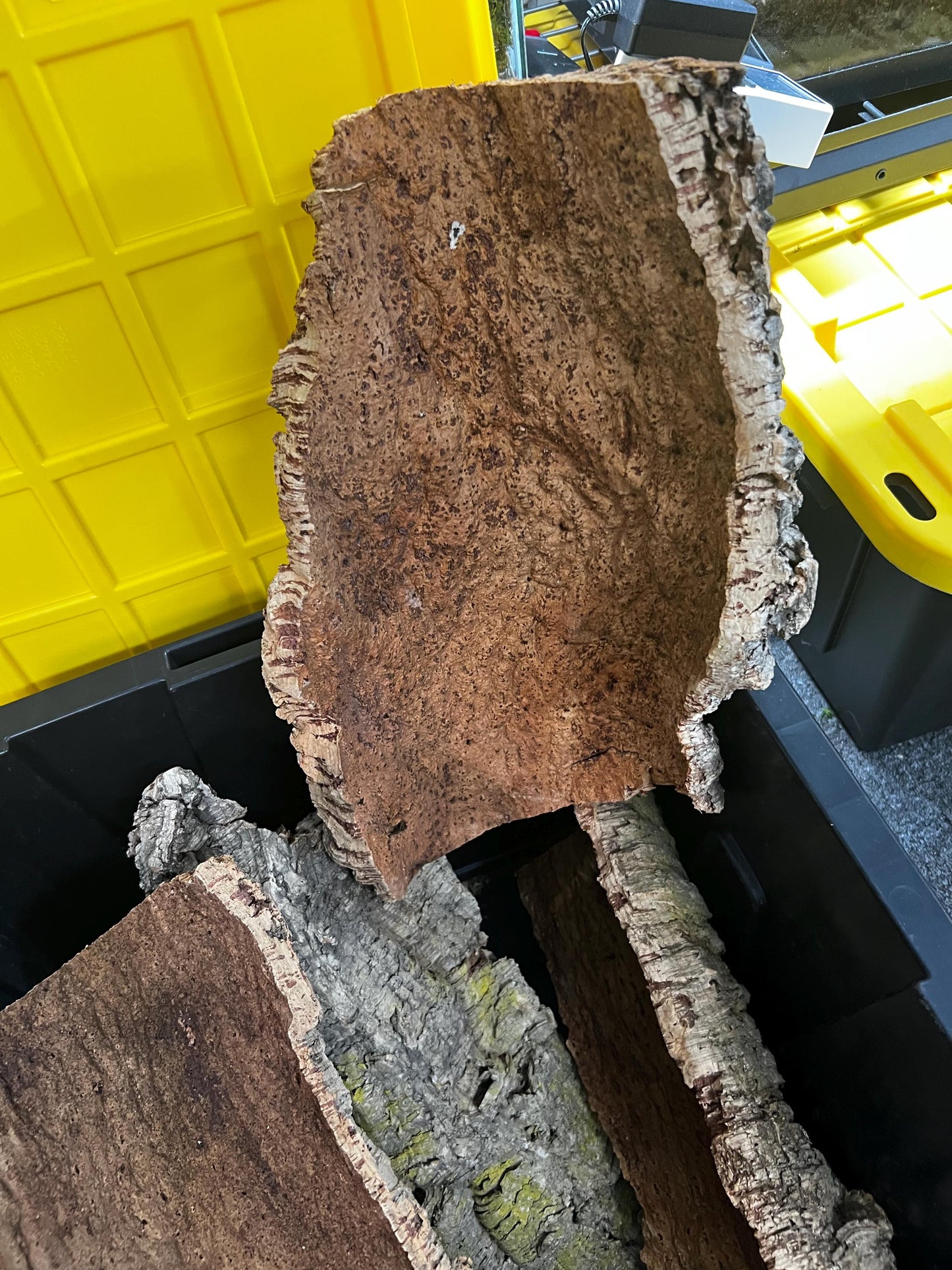 Natural Cork Bark Flats