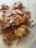 Hardwood leaf litter natural terrarium ground cover