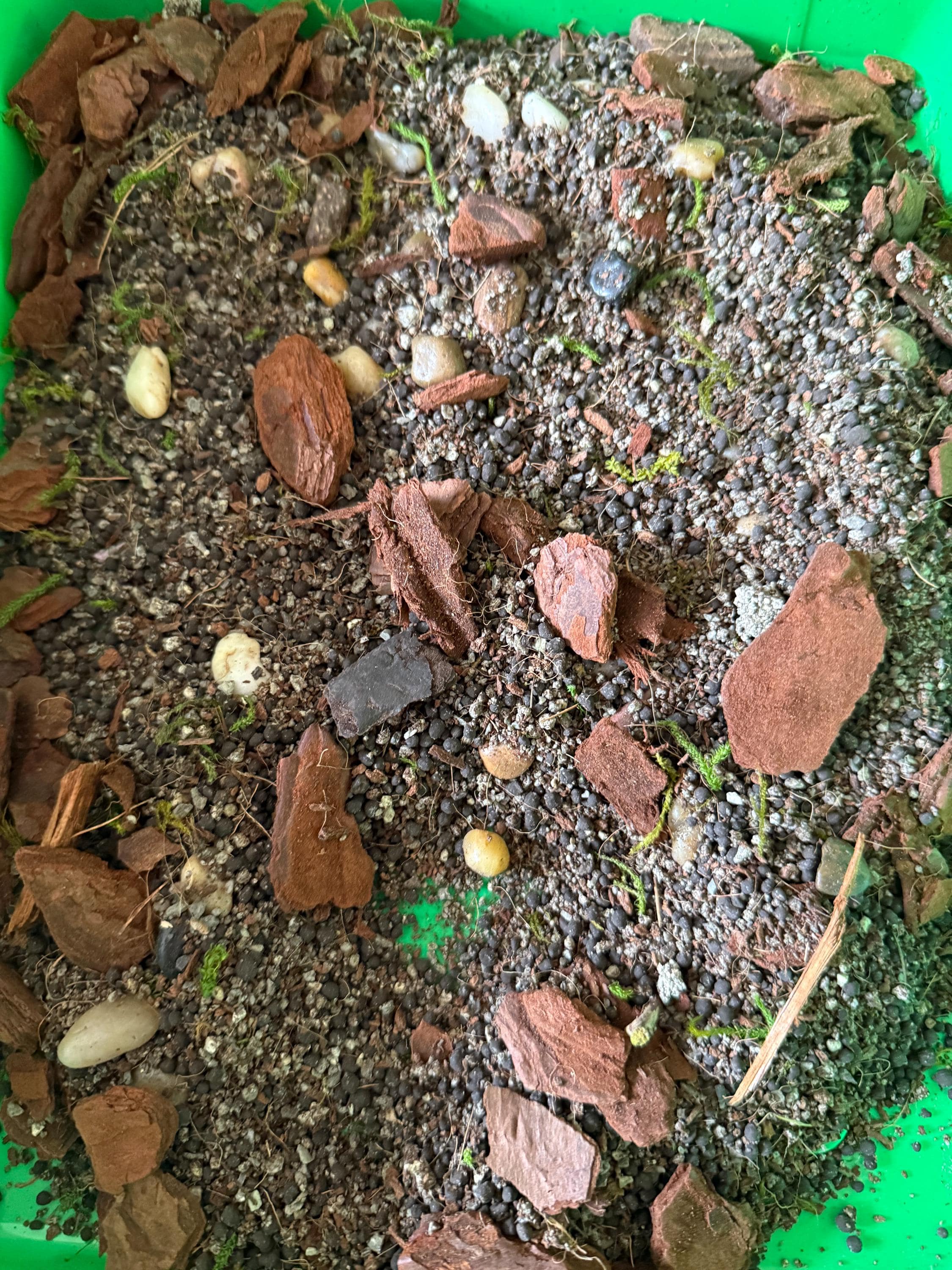Soil with small rocks and pebbles on a green background
