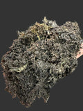 Hand holding a clump of dark, rich soil against a blurred background