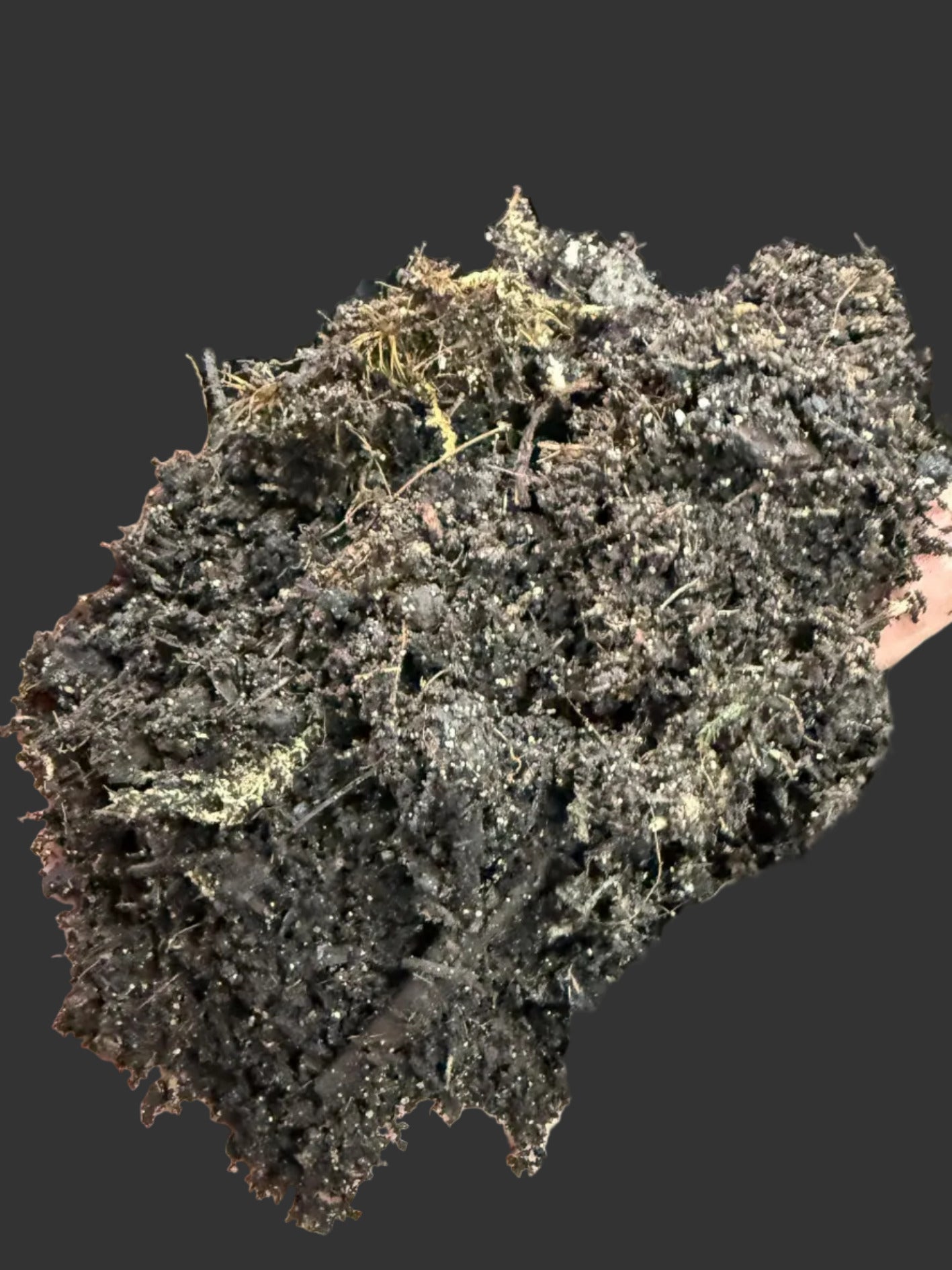Hand holding a clump of dark, rich soil against a blurred background