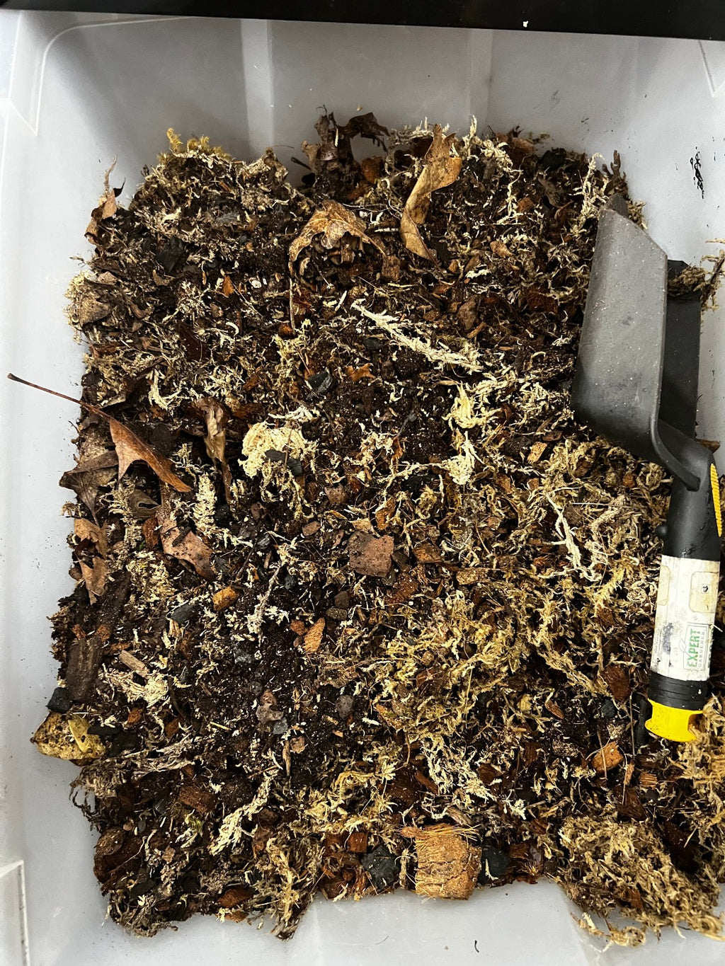 "The Best Soil on Earth" -Bioactive Ready Soil 4 gallons