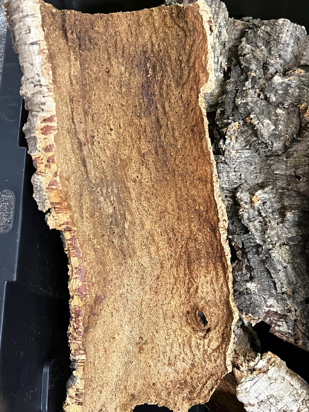 Natural cork bark flat bottom surface showing natural texture and structure