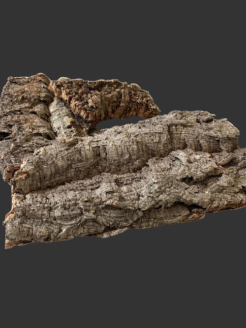 Large cork bark pieces displayed