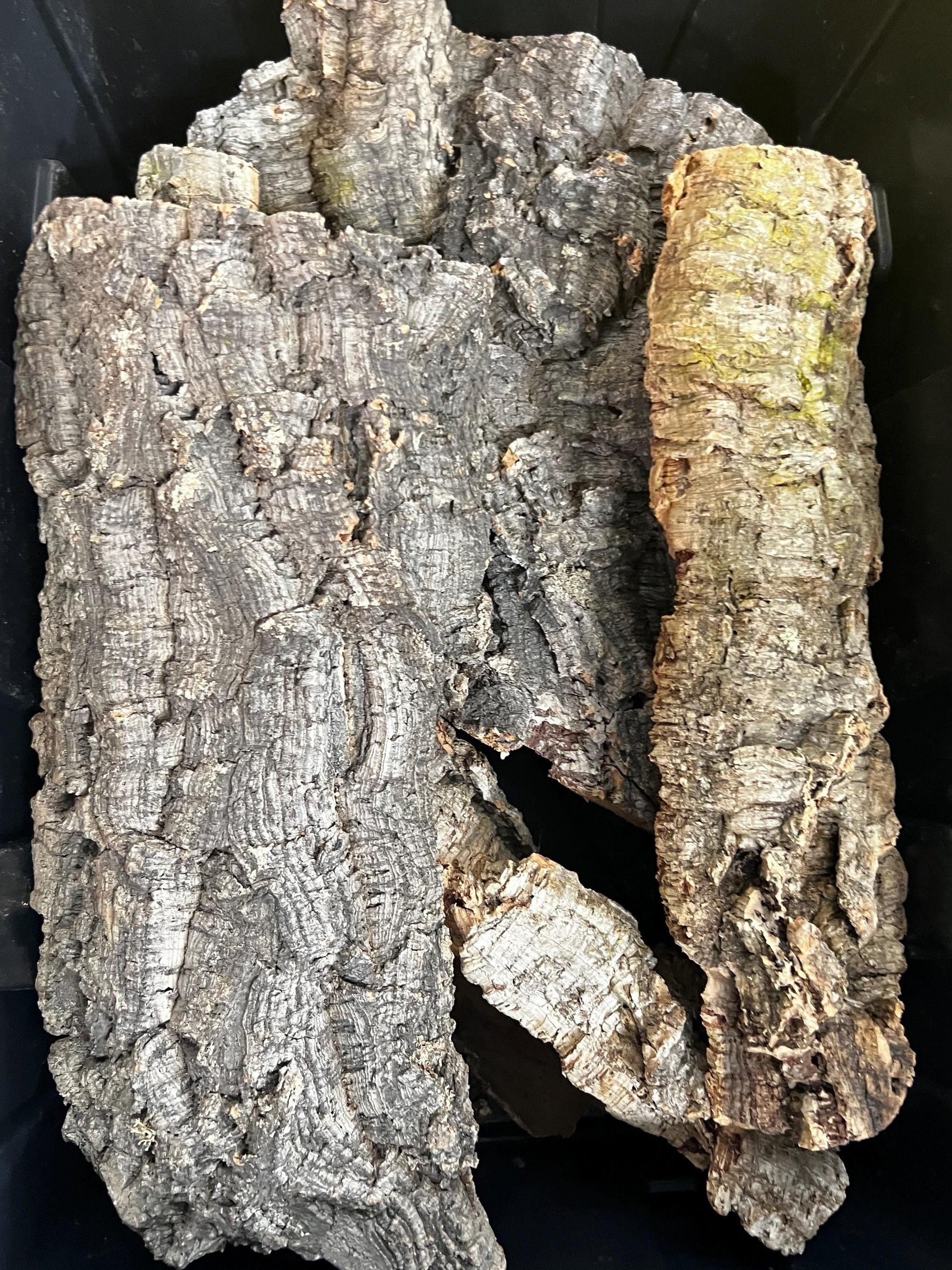 Closeup of natural cork bark flat