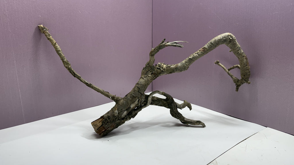 Gnarly root branches assembled into a tall standing centerpiece with a soaring arched branch — one-of-a-kind terrarium and vivarium hardwood