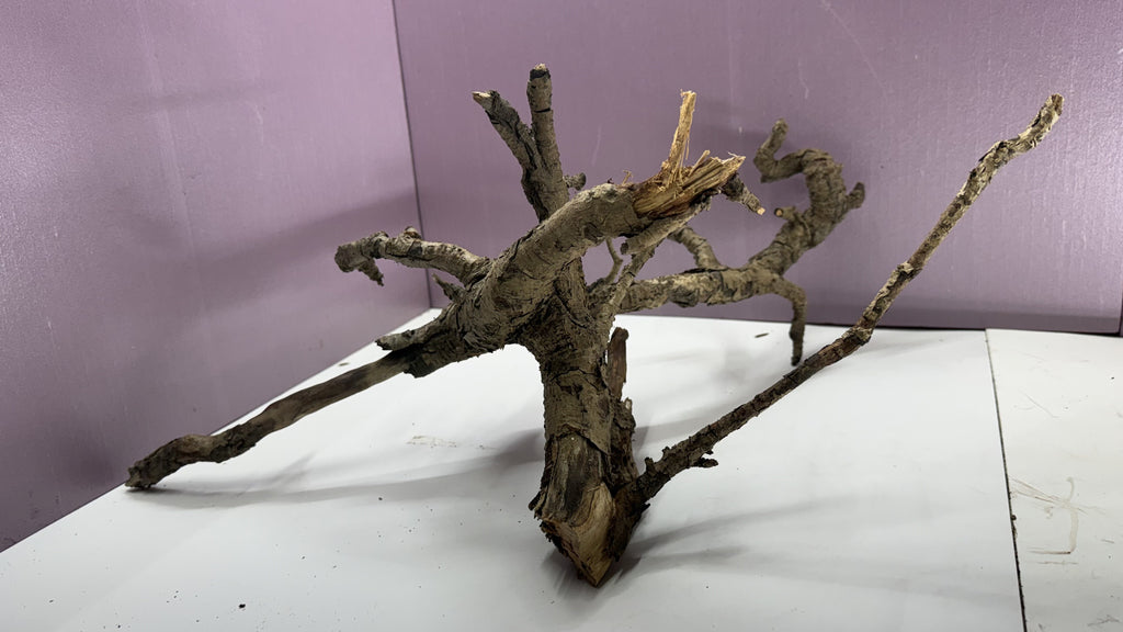 Gnarly root branches stacked into a twisting hardwood centerpiece with an upright weathered stump