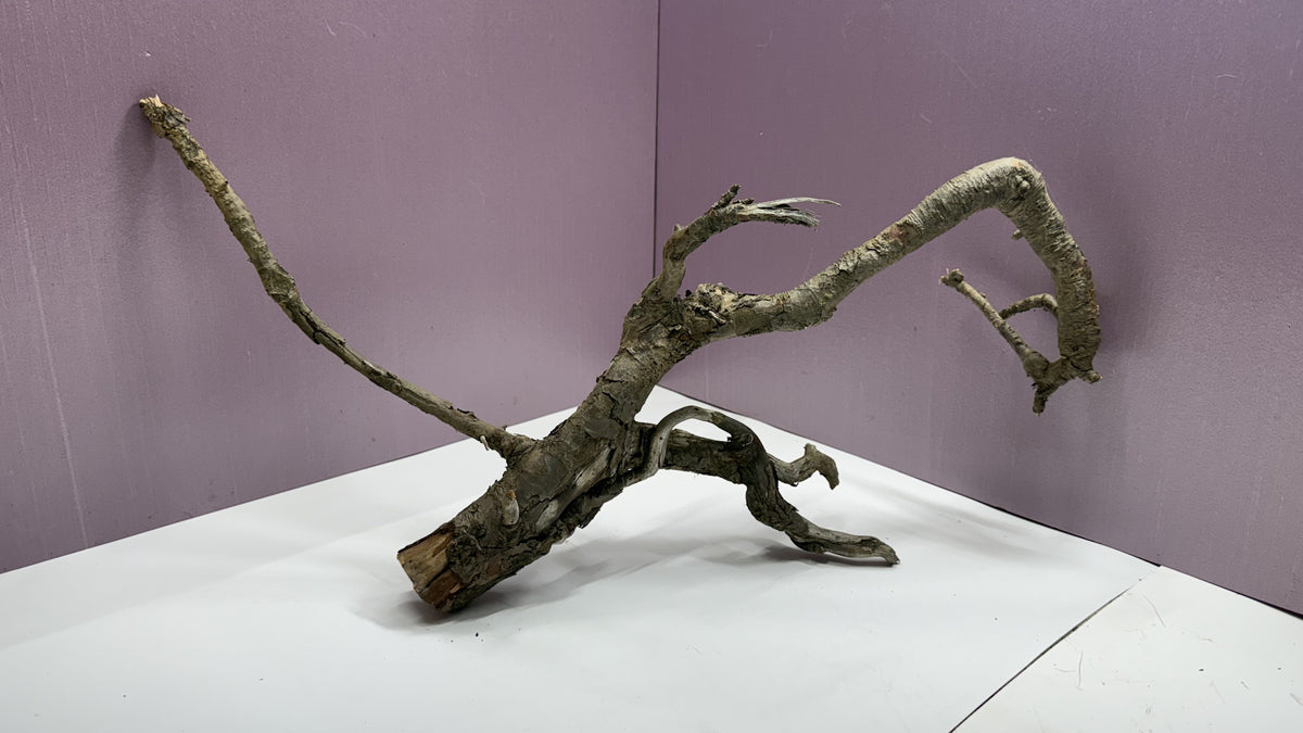 Assembled gnarly root branch centerpiece, alternate angle of the tall arching form