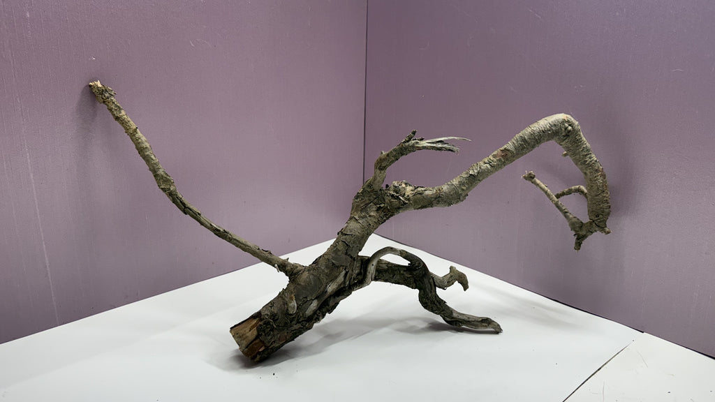 Assembled gnarly root branch centerpiece, side profile