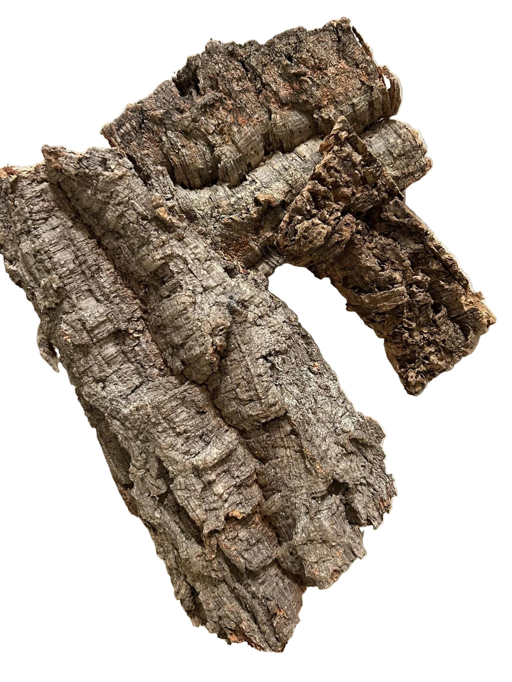 3 pieces natural cork bark displayed
